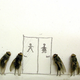 Illustration for article titled The Dead Fly Artwork Of Magnus Muhr